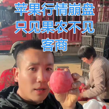【荐】精品红富士苹果80起步冰糖心脆甜可口产地直发