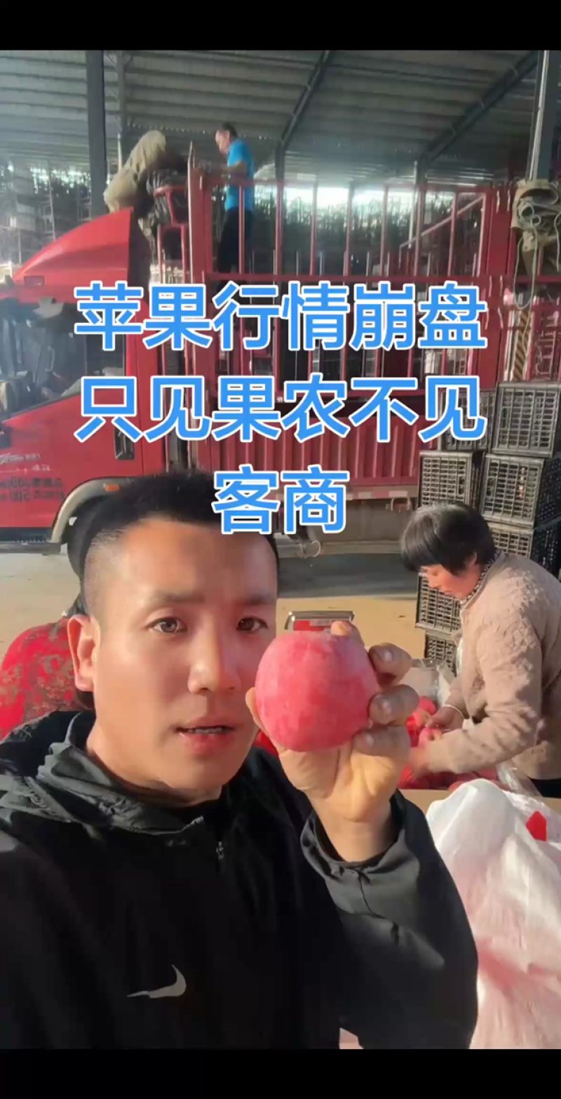 【荐】精品红富士苹果80起步冰糖心脆甜可口产地直发