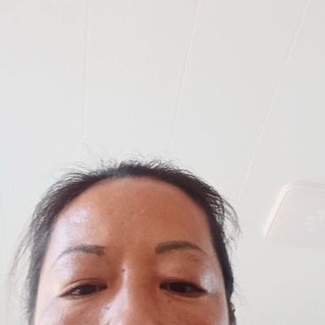 河北甜瓜星甜甜瓜产地一手货源，大量现货供应，欢迎来电咨询