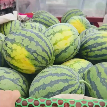 甜王-美都西瓜、8424/小西瓜、全国可发质量三包！！