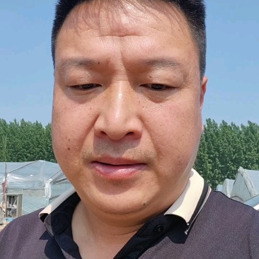 云南精品无籽美都西瓜/量大从优/保质保量/欢迎电联