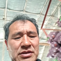 贝贝板栗红金瓜，对接产地种植保质保量诚实守信订单回收