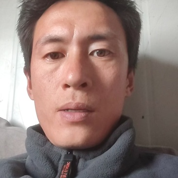 苏州青太湖菜大黑菜产地直销量大从优可视频看货对接全国