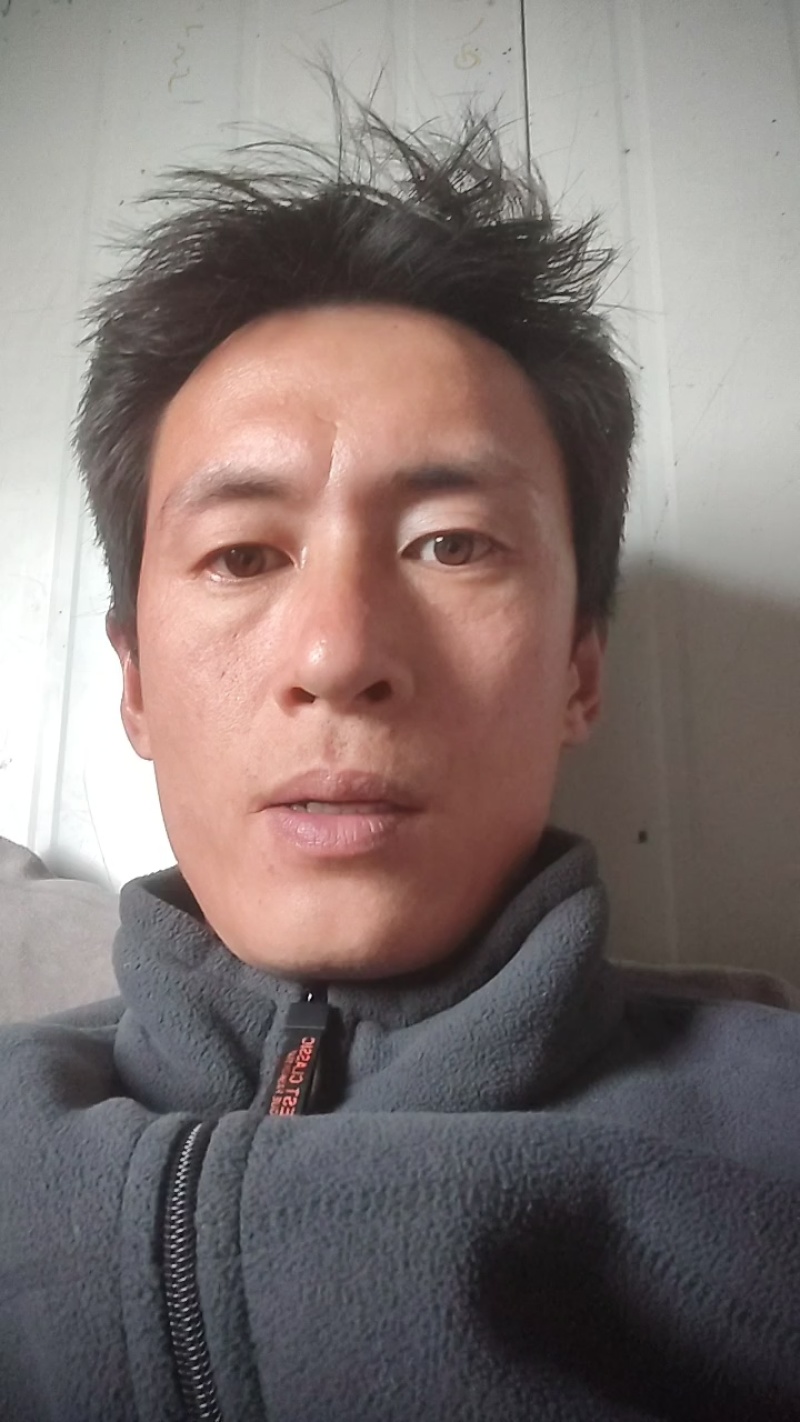 苏州青太湖菜大黑菜产地直销量大从优可视频看货对接全国