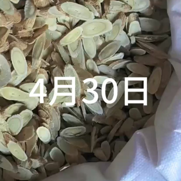 黄芪片批发大片中片小片价格有优势可以谈价黄芪条黄芪片大片