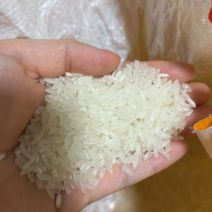 龙凤山核心产区种植五常大米，口感软糯筋香甜