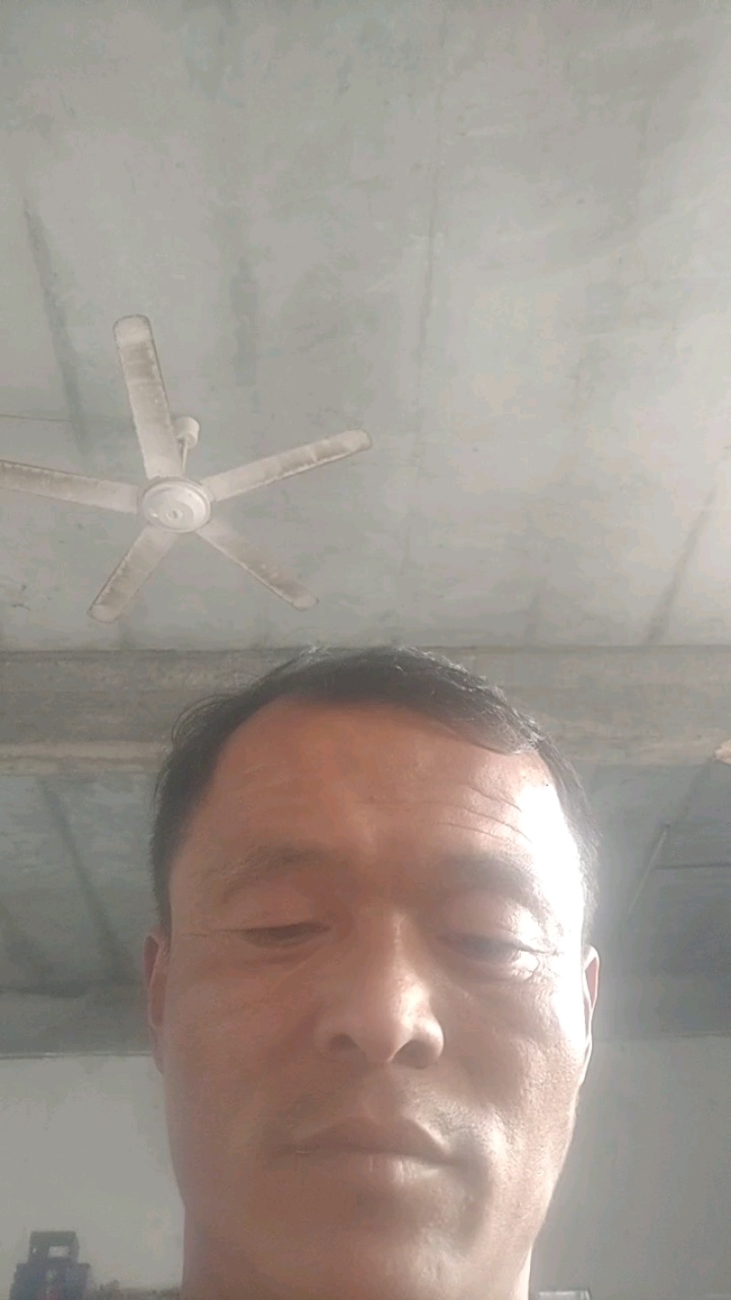 2k礼品西瓜