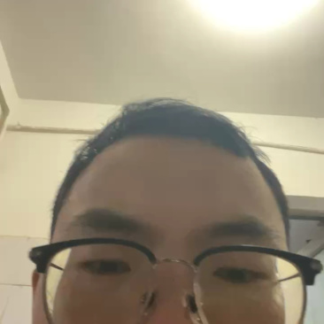 云南红心树番茄苗