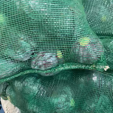 【实力货源】紫甘蓝花青素农家种植全国货源电商一件代发