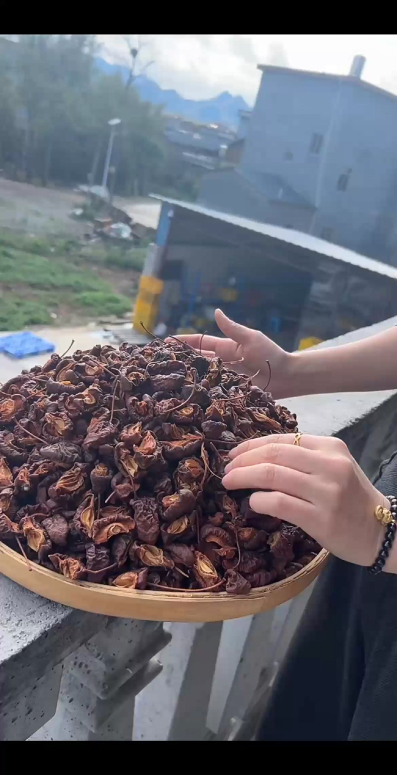 有几千斤！价格小贵