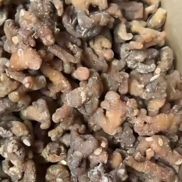 黄精生黄精制黄精优质黄精个，九蒸九晒的制黄精