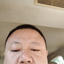 皇冠梨全国可发一条龙服务货源充足质优价廉