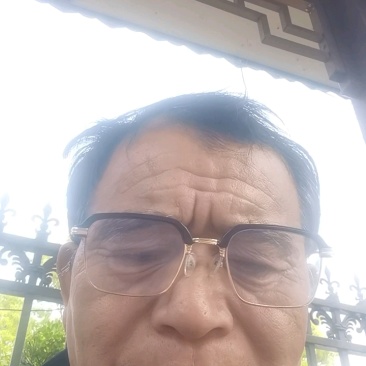 中山杉品质保证常年诚信经营产地直销以质论价