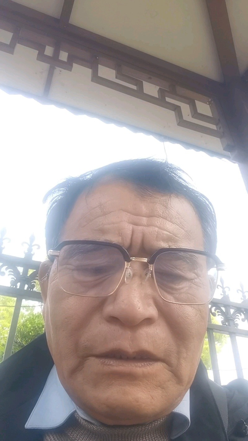中山杉品质保证常年诚信经营产地直销以质论价