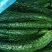 夏邑精品密刺黄瓜产地直供质量上乘价格美丽欢迎订购