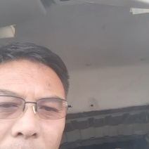【实力商家】产地直发【对接超市】质量保证【诚实守信】绿茄