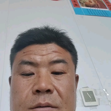自磨面粉石磨面粉。***零提取。