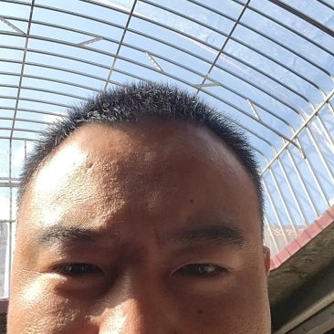 山东蓝莓