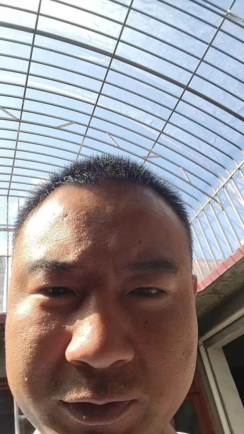 山东蓝莓