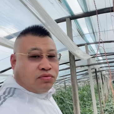 潍坊昌乐甜王西瓜，16斤左右，价格上浮！