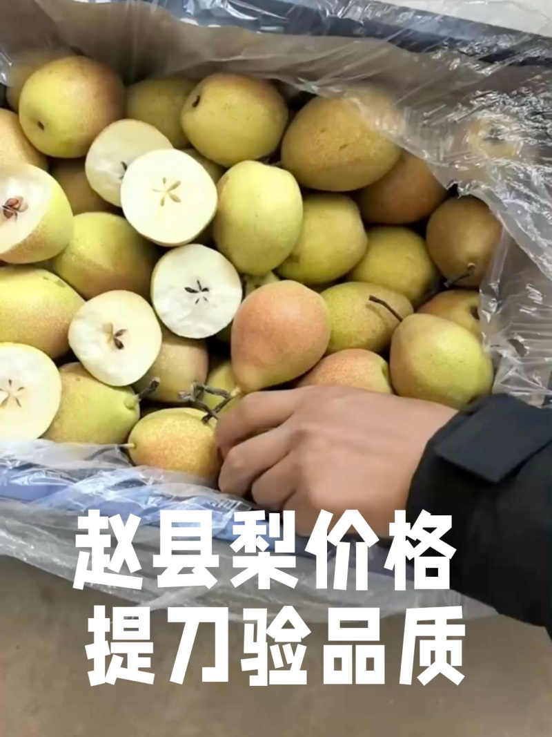 红香酥梨产区一手货源口感脆甜对接市场，批发电商社区团购