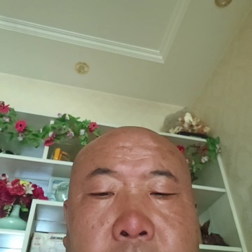 精品莴笋青笋产地直发莴苣品质保证欢迎咨询合作