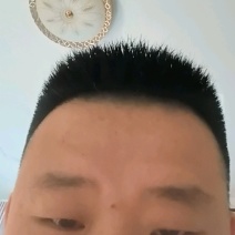 【推荐】河北玉露香货源充足品质保证代发全国