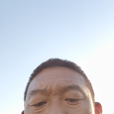 河南红皮紫皮、黄皮洋葱都有,产地批发价格低保质量代发全国