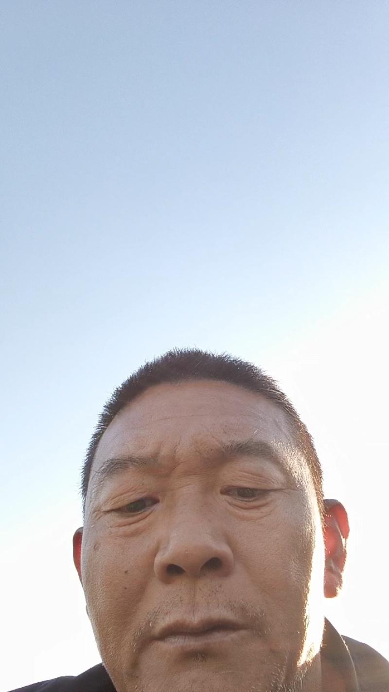 河南红皮紫皮、黄皮洋葱都有，产地批发价格低保质量代发全国