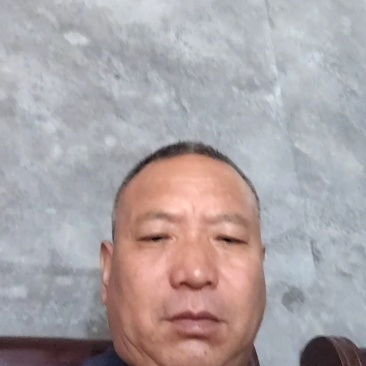 干槐花
