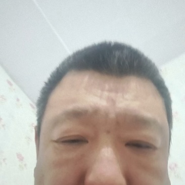 白鲜皮