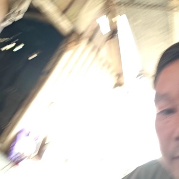 云南大树番茄，鸡蛋果火锅底料**选择
