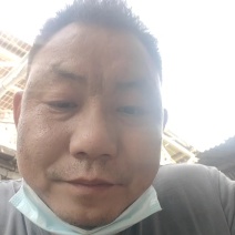 鸽子蛋对接全国产地直发保质保量欢迎各大批发商采购