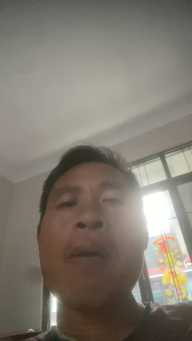 脆皮金桔苗（保证正宗）桂林脆皮金桔苗广西桂林发货