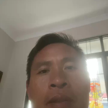 早熟柑大分4号苗桂林大分4号早柑苗