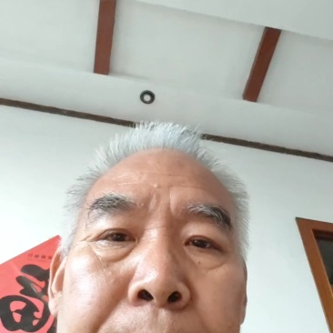 单面紫苏子，双面紫苏种子，紫苏种子，多购包邮！