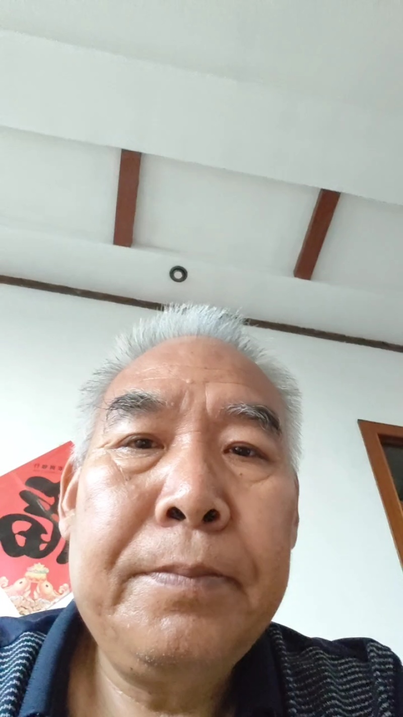 单面紫苏子，双面紫苏种子，紫苏种子，多购包邮！