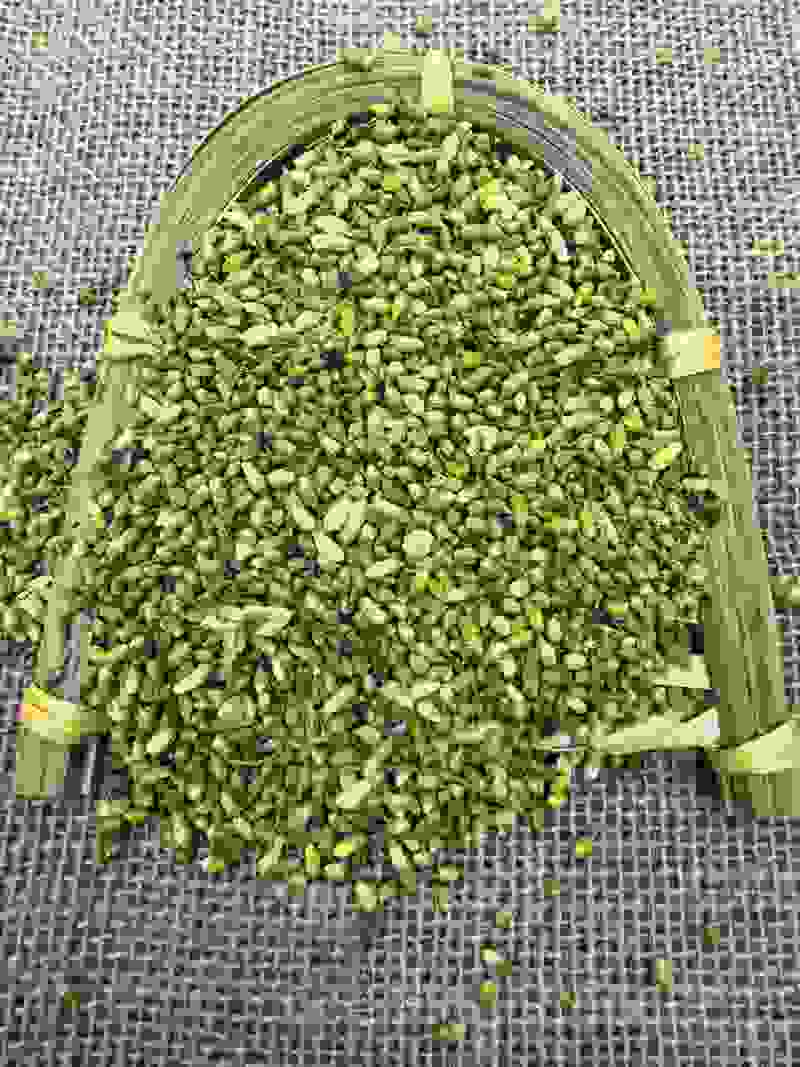 槐米中药材现货批发槐米量大从优