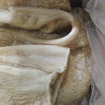 五香熟牛肚，品质好不好，自己看，一手货源，全国冷链发货