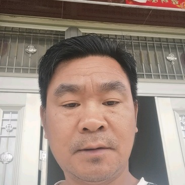 纯野生的土大黄有鲜货欢迎老板们下单