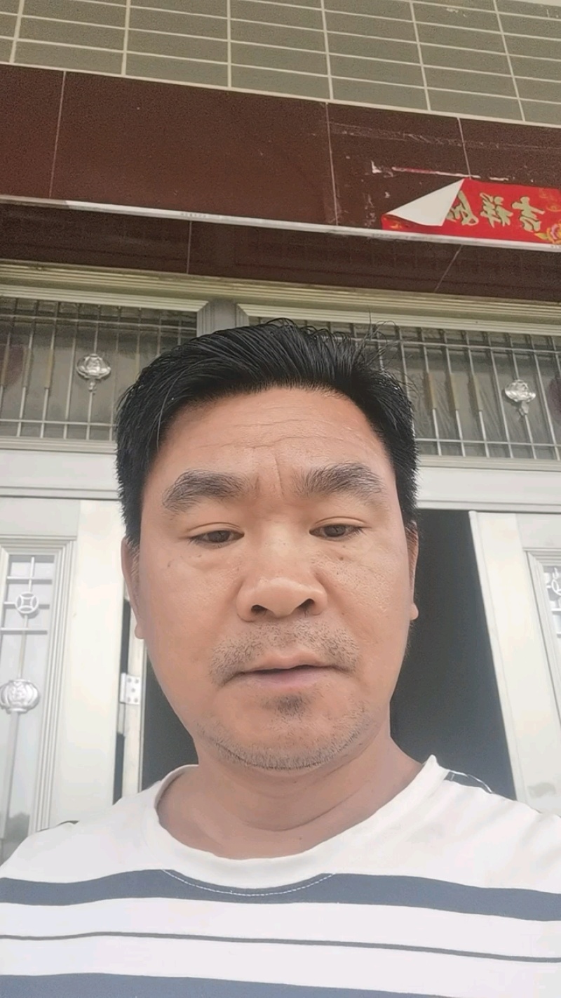 纯野生的土大黄有鲜货欢迎老板们下单