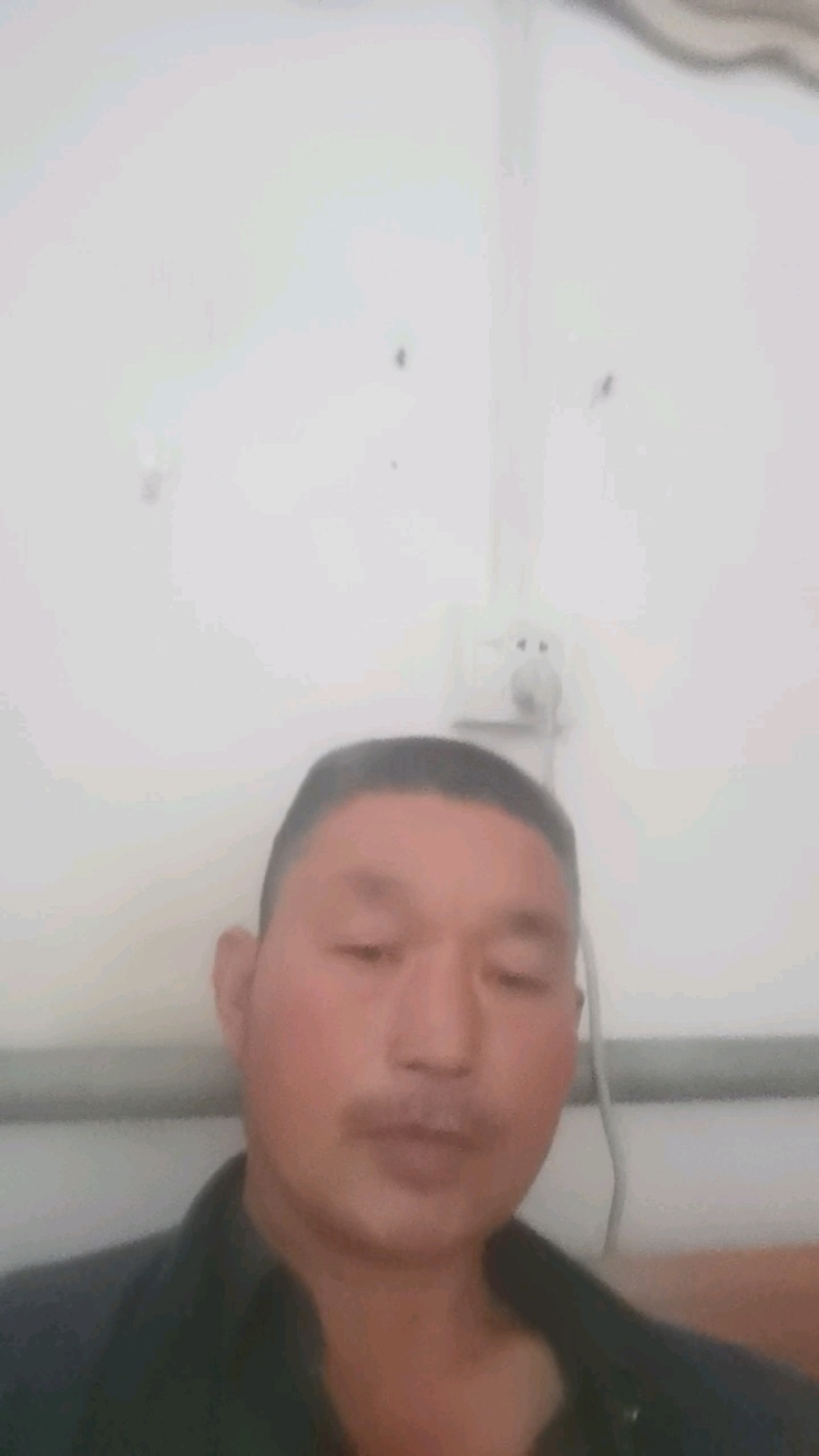 河北邯郸，香葱大量上市质量很好价格美丽，需要的老板联系