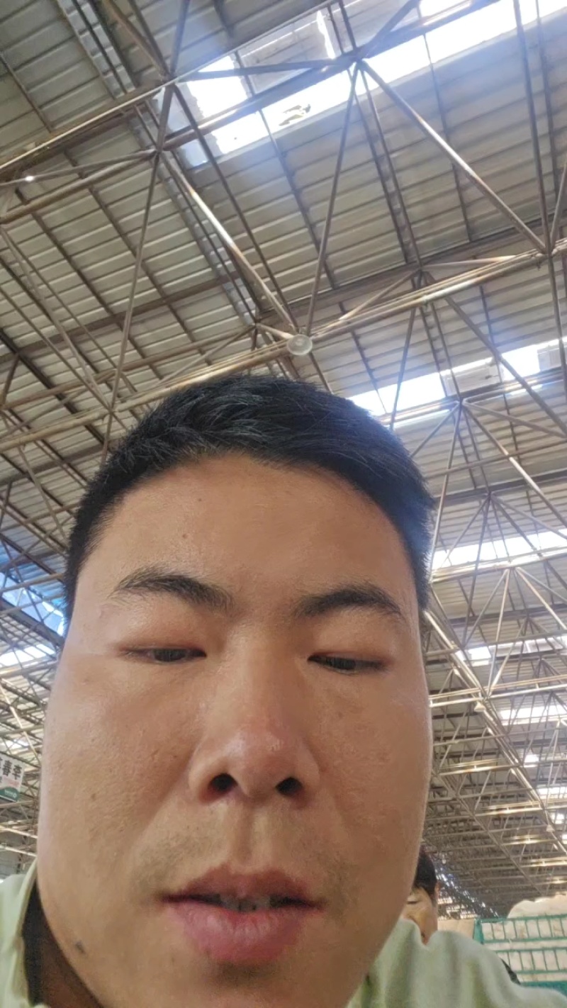 沙漠南瓜肉厚口感粉糯