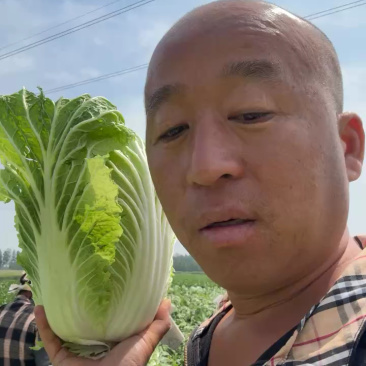 常年代发矮颗白菜🥬，西瓜🍉，辣椒，黄瓜🥒