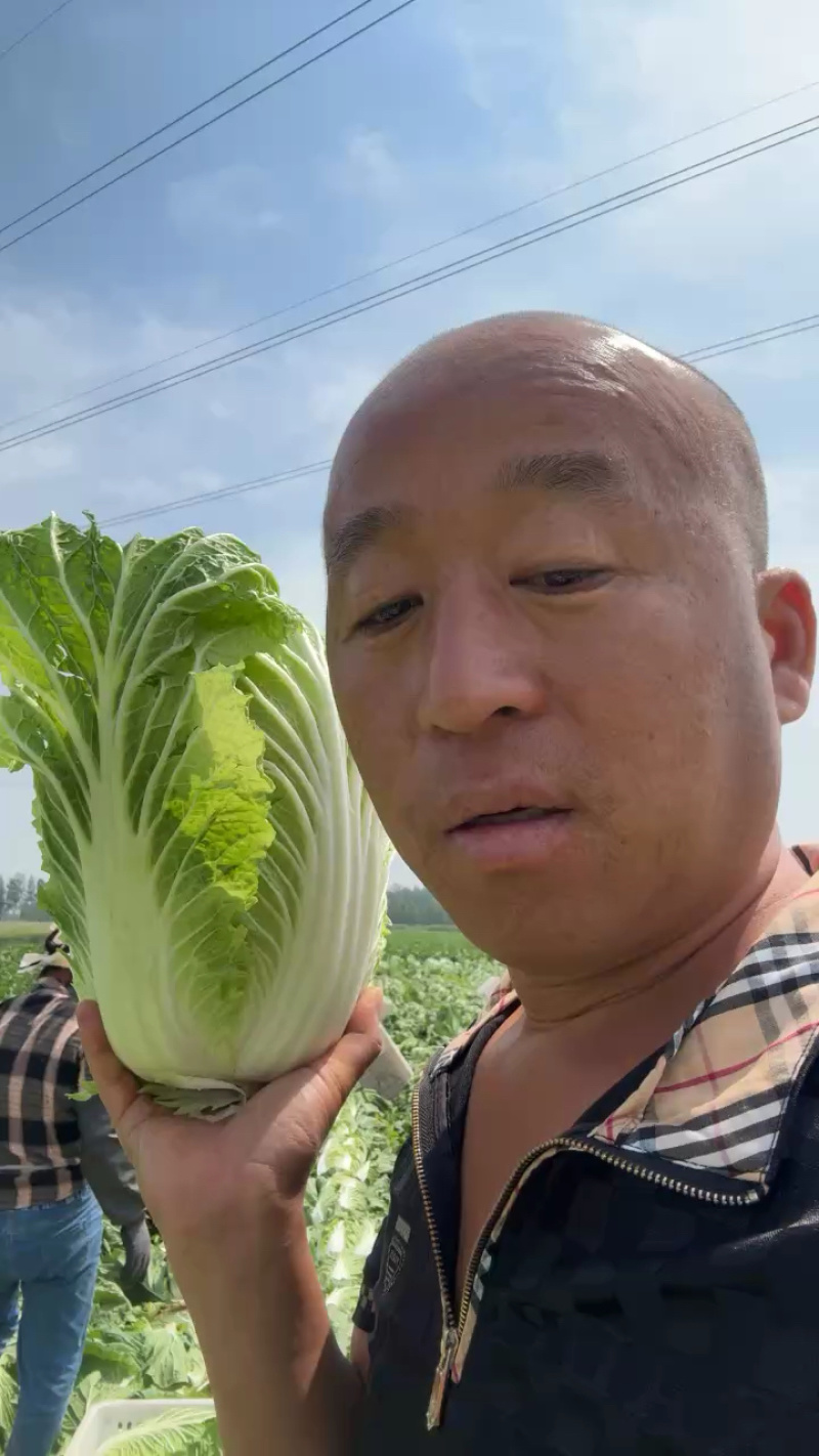 常年代发矮颗白菜🥬，西瓜🍉，辣椒，黄瓜🥒