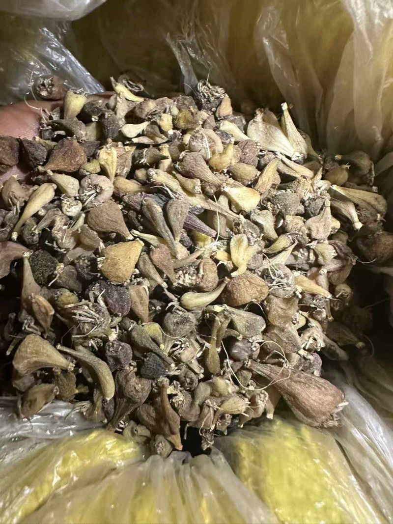 毛慈菇山慈姑白芨！！！！！！！！！！！！！