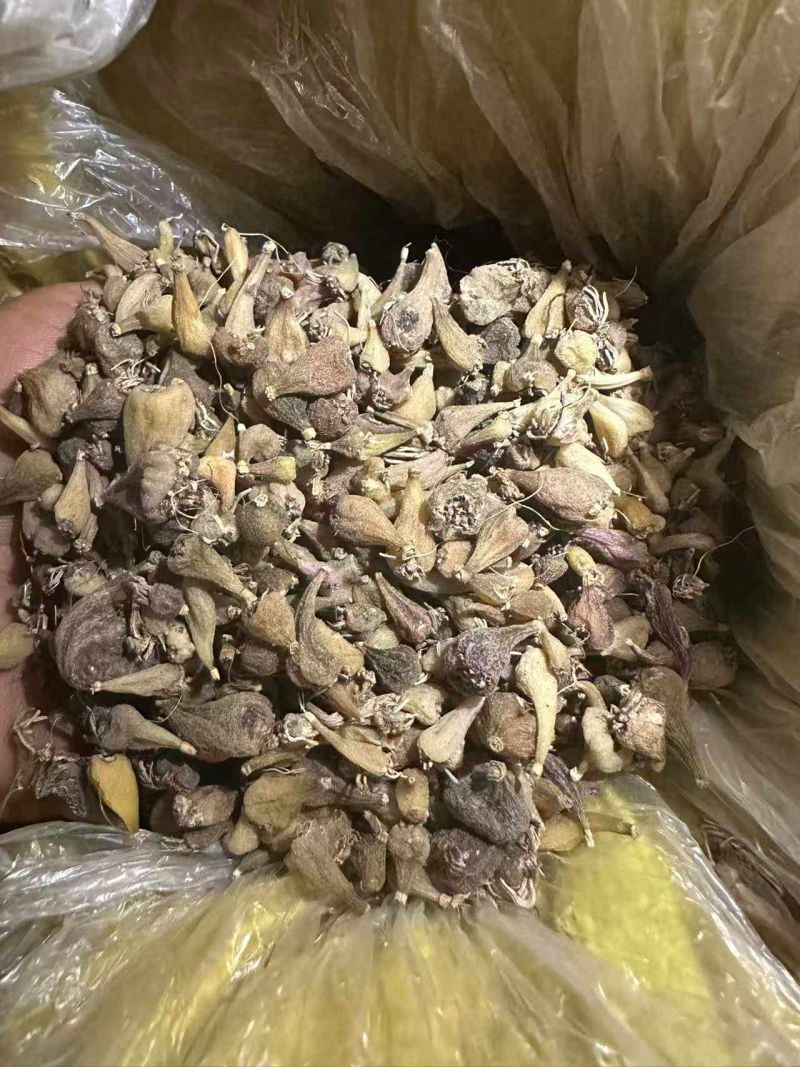 毛慈菇山慈姑白芨！！！！！！！！！！！！！