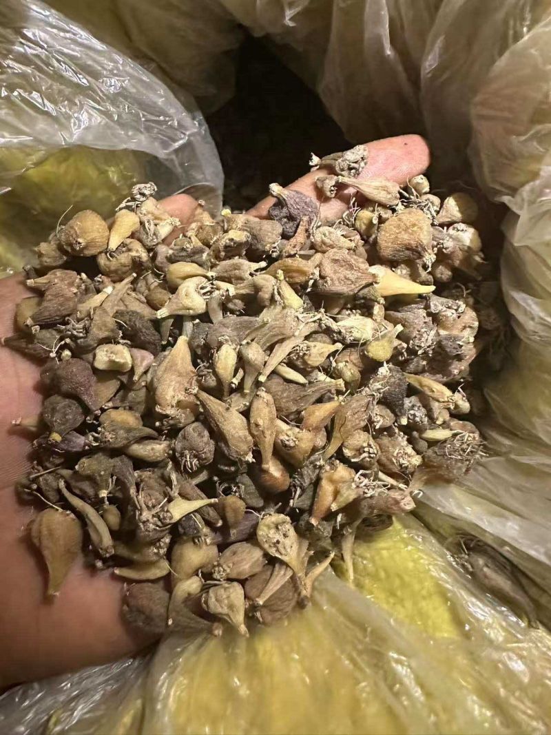 毛慈菇山慈姑白芨！！！！！！！！！！！！！