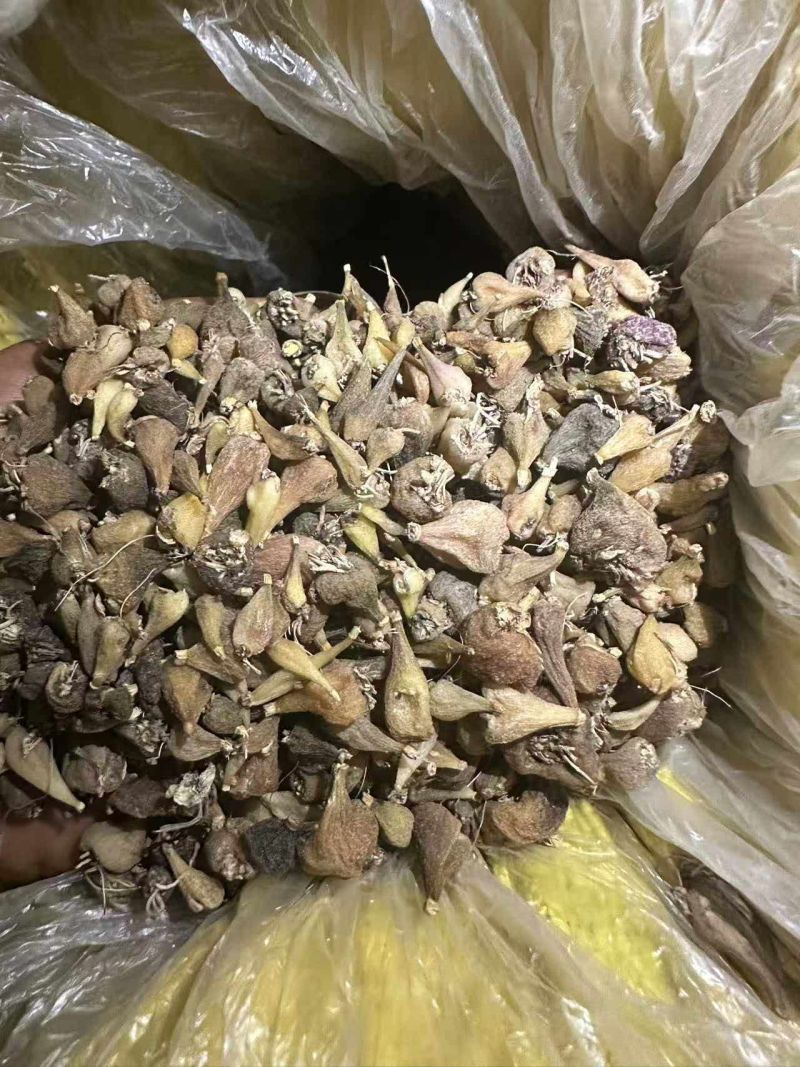 毛慈菇山慈姑白芨！！！！！！！！！！！！！