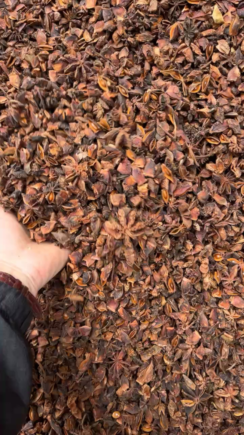 批发八角茴香大料过筛箱装足干水烫无硫***********